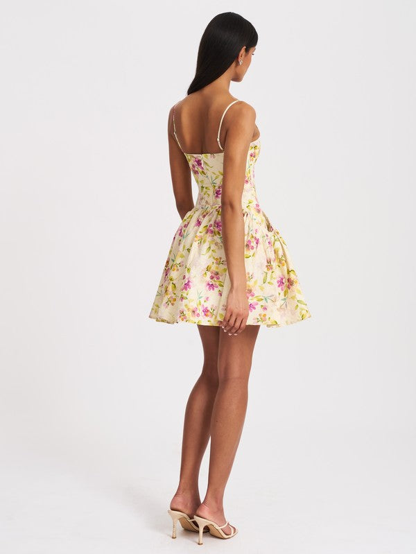 Princess Dress